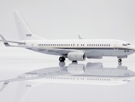 44995_jc-wings-xx20278-boeing-737-700-c40a-clipper-us-navy-165835-xda-201229_6.jpg