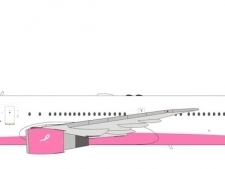 45593_panda-model-62421-boeing-767-432er-delta-air-lines-n845mh-pink-livery-xd8-204803_0.jpg