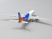42803_jc-wings-xx4221-airbus-a330-900neo-aircalin-f-onet-xdc-189852_7.jpg
