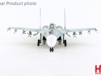 46595_ha9555-(7).jpg